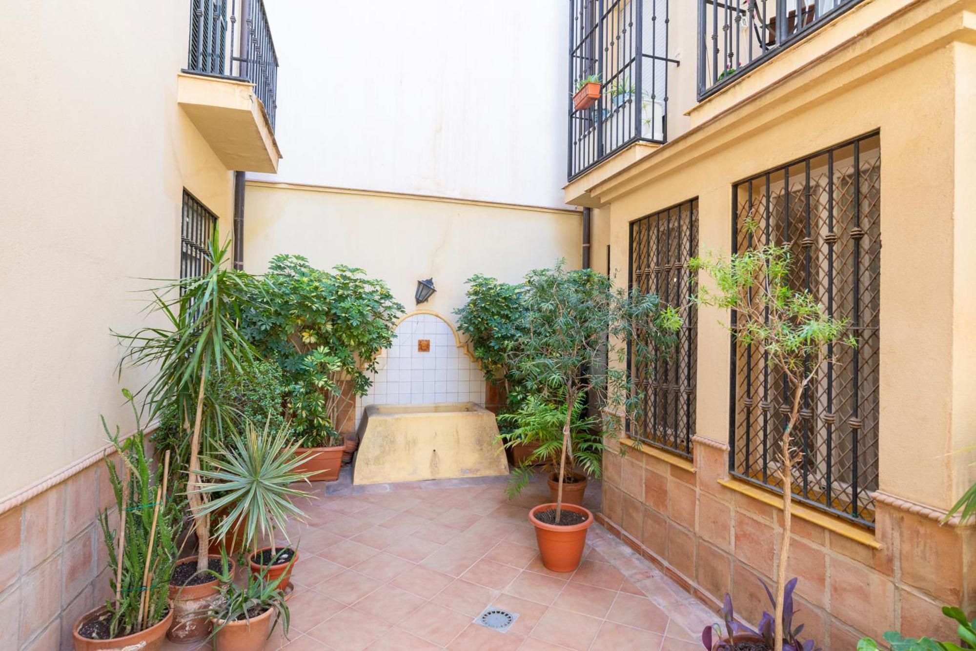 Apartment & Pool In Malaga City Center 外观 照片